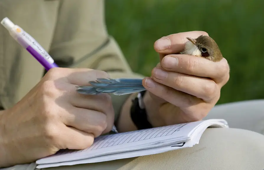 A researcher holding a small bird and writing in a notebook